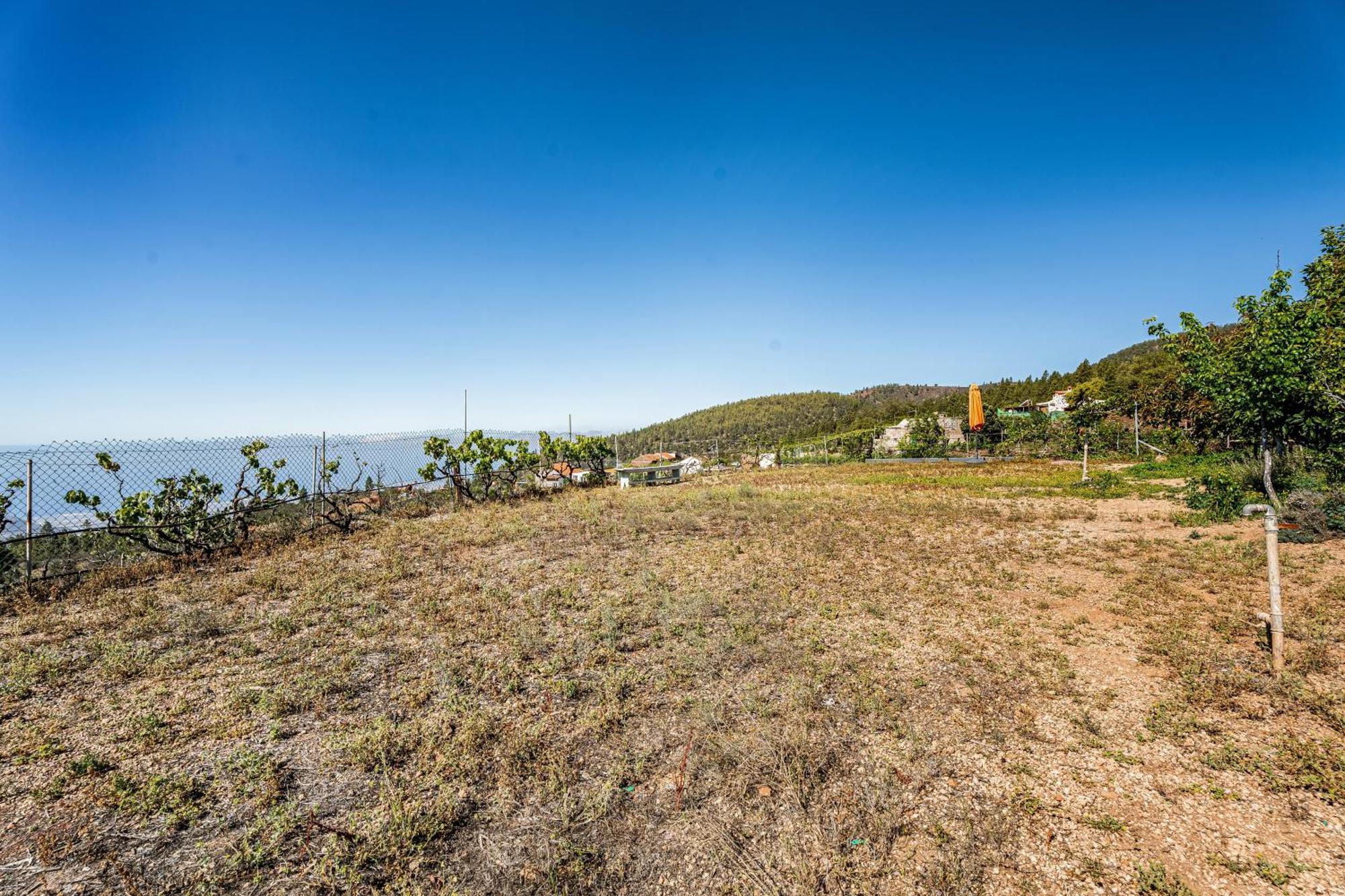 Land Of Dreams 2 Villa Granadilla De Abona Eksteriør billede